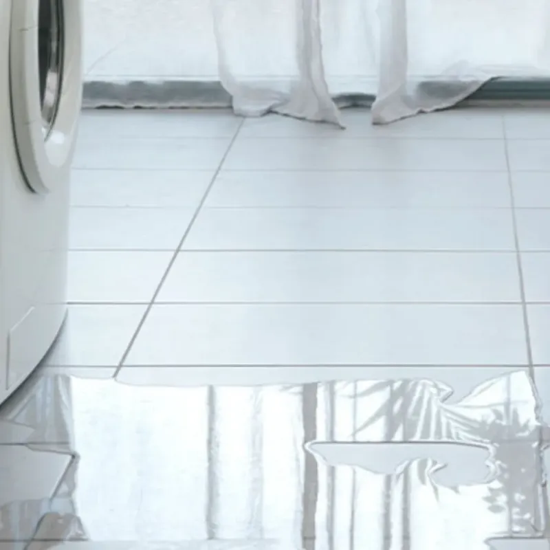 Appliance Leak Cleanup in Orange City, IA