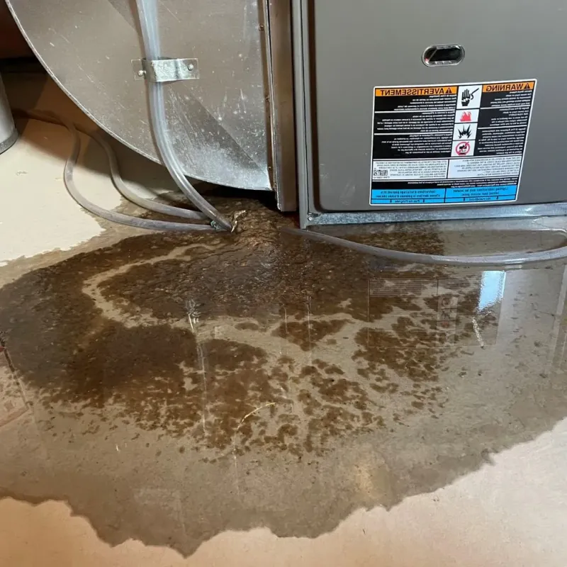 Pipe Burst and Leak Restoration in Orange City, IA