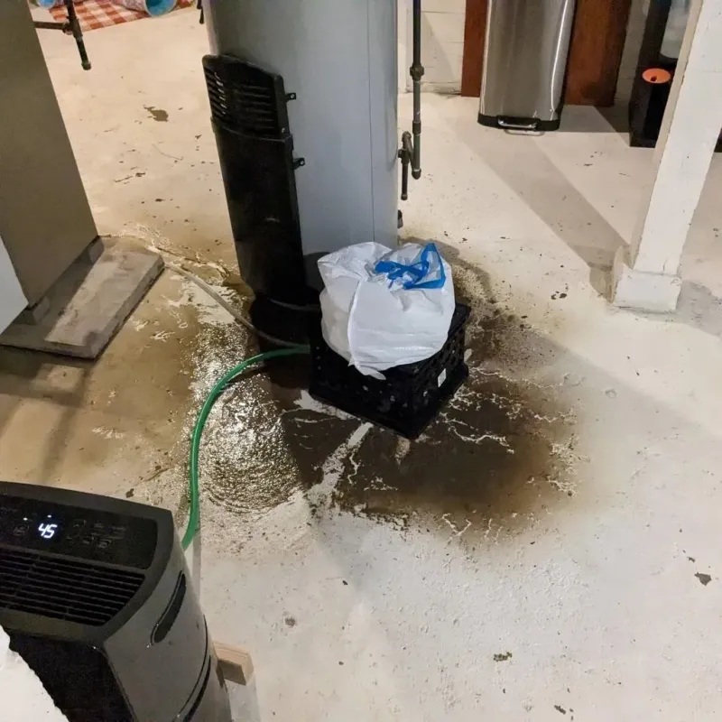 Sewage Backup Cleanup Service in Orange City, IA